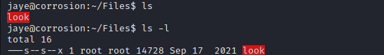 cor2 look.png